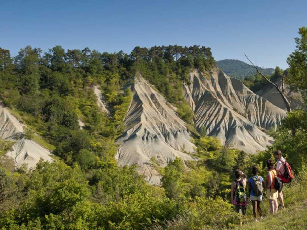 Вілла Bel'Horizon Saint-Pal-en-Chalencon Екстер'єр фото