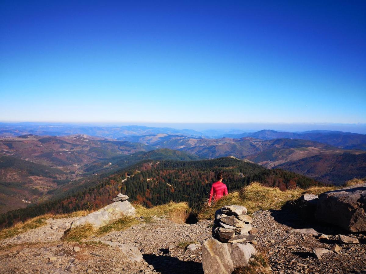Вілла Bel'Horizon Saint-Pal-en-Chalencon Екстер'єр фото